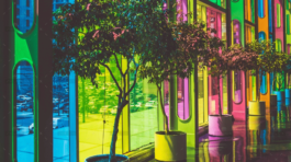 demo-attachment-850-portfolio-2-img