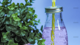 demo-attachment-855-portfolio-7-img